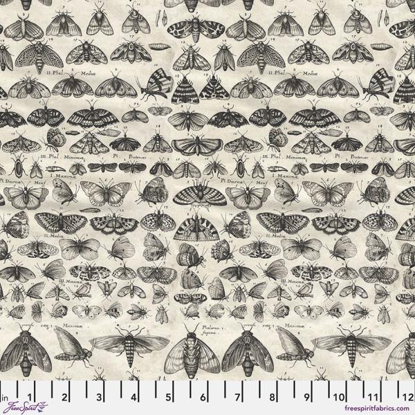 Collection Palette anthracite de Tim Holtz - mites