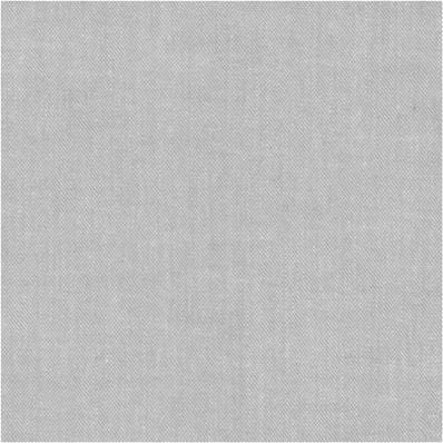 Pale grey Chambray fabric