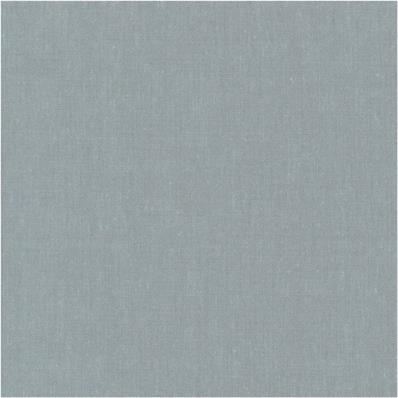 Blue-grey Chambray fabric